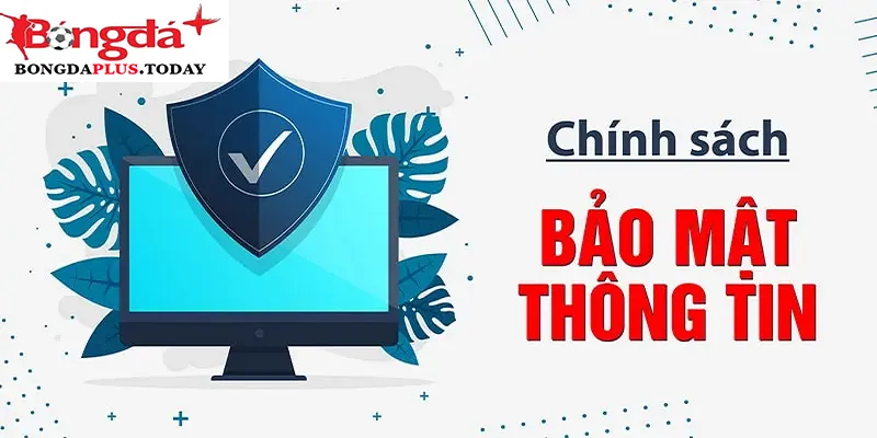 Quyền hạn của người dùng khi cung cấp thông tin cho website 