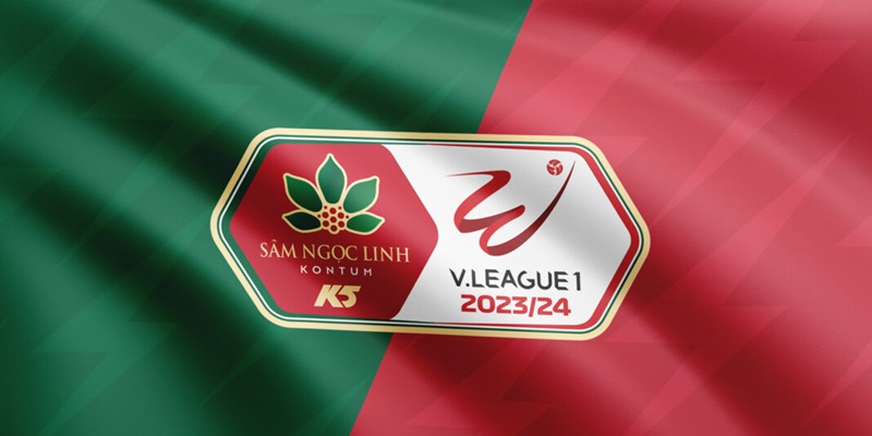 Tìm hiểu thông tin về giải giải VĐQG Việt Nam V-League chi tiết tại Bongdaplus