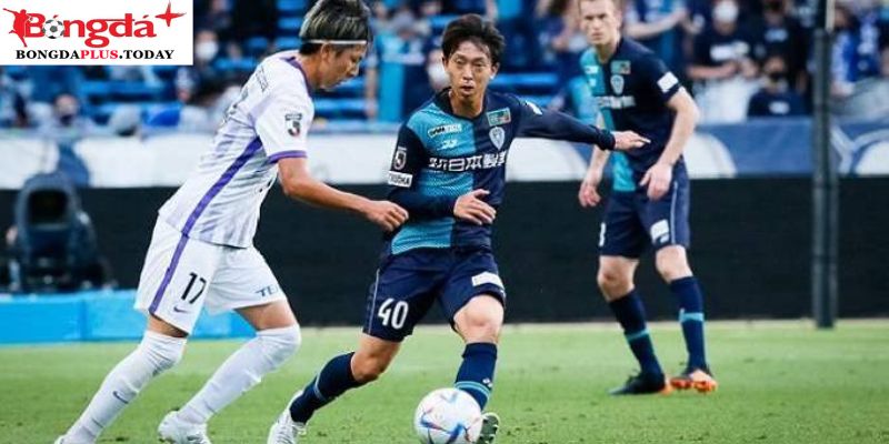 Avispa Fukuoka vs Tokyo Verdy: Nhìn lại phong độ 2 bên 