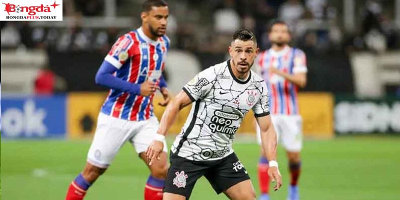 Bahia EC vs Corinthians: Phong độ gần đây