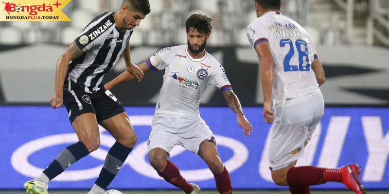 Botafogo vs Bahia: Điểm qua phong độ gần đây