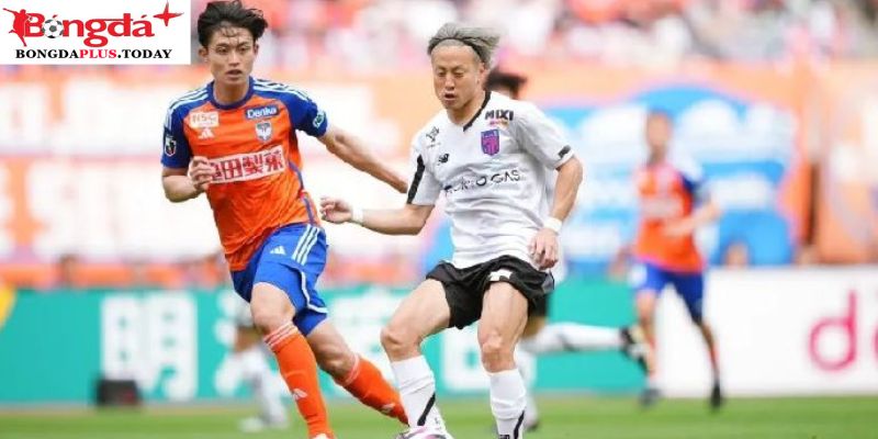 Cerezo Osaka vs Albirex Niigata: Phong độ gần đây