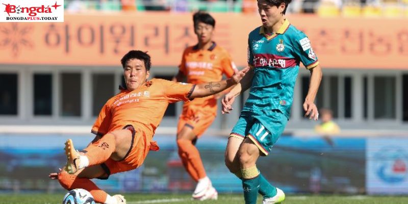 Daejeon Hana Citizen vs Pohang Steelers: Phong độ gần đây