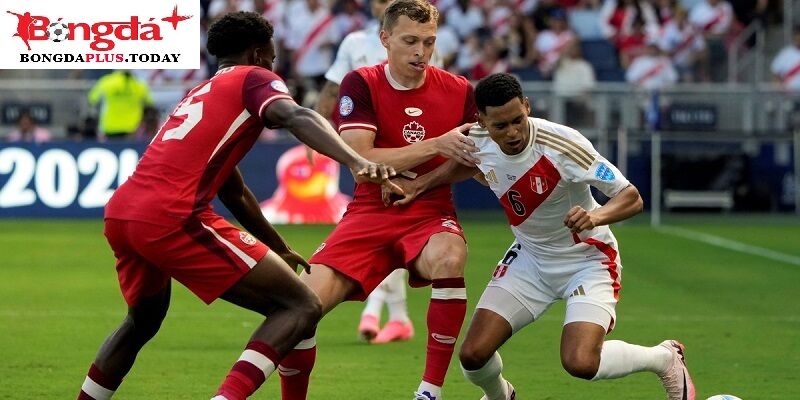 Đánh giá màn trình diễn của Venezuela vs Canada ở vòng bảng