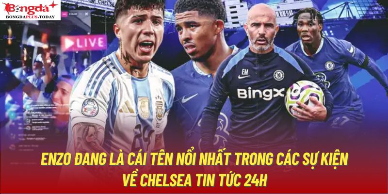 Enzo đang là cái tên nổi nhất trong các sự kiện về Chelsea tin tức 24h