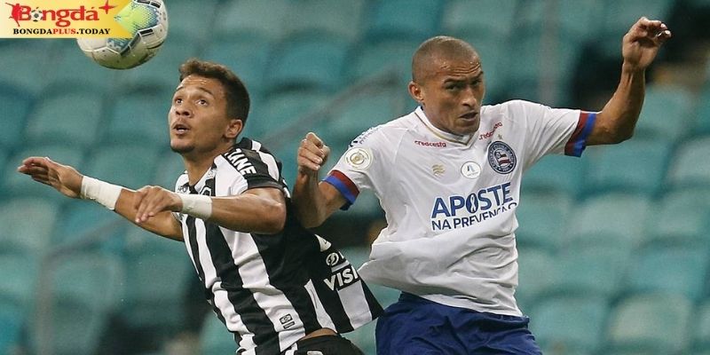 Bahia vs Botafogo: Nhìn lại hành trình 2 CLB 