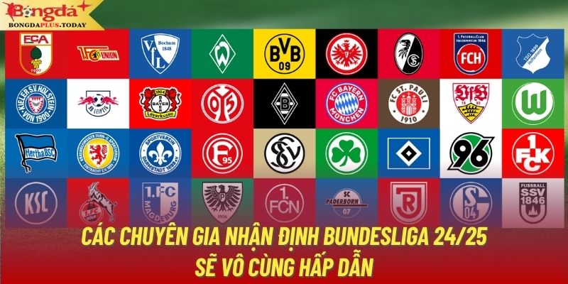 Các chuyên gia nhận định Bundesliga 24/25 sẽ vô cùng hấp dẫn