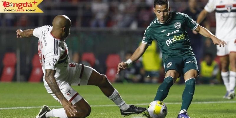 Goias vs Sao Paulo: Điểm qua phong độ 2 CLB 