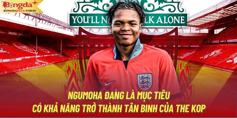 Ngumoha đang là mục tiêu có khả năng trở thành tân binh của The Kop