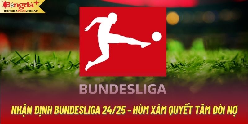 Nhận Định Bundesliga 24/25 - Hùm Xám Quyết Tâm Đòi Nợ