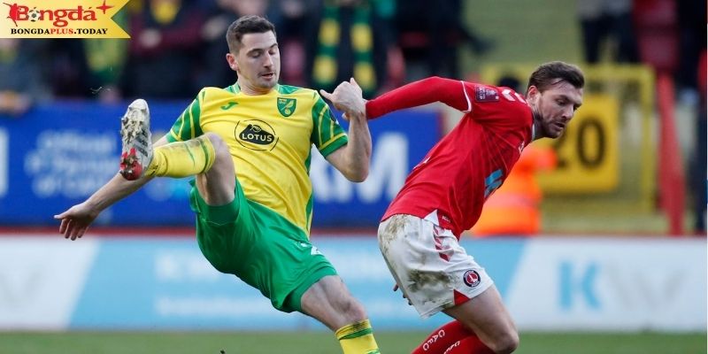 Norwich City vs Stevenage: Nhìn lại phong độ 2 CLB