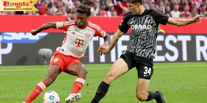 Soi kèo Bayern Munchen vs Freiburg: Điểm qua phong độ