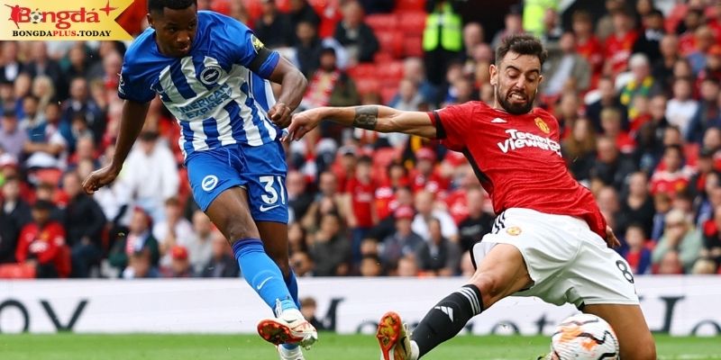 Soi kèo Brighton vs Manchester United cần người hâm mộ thật bình tĩnh