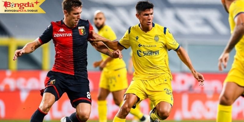 Soi kèo Genoa vs Verona: Điểm qua phong độ