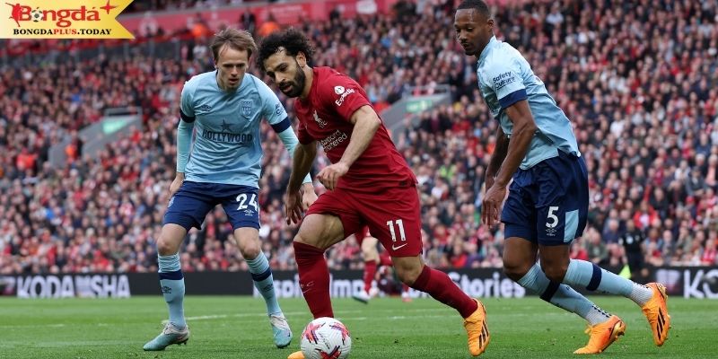 Soi kèo Liverpool vs Brentford - The Kop dễ dàng thắng Bầy Ong