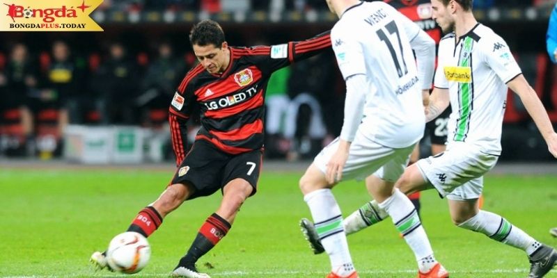 Soi kèo Monchengladbach vs Leverkusen: Khó khăn cho chủ nhà