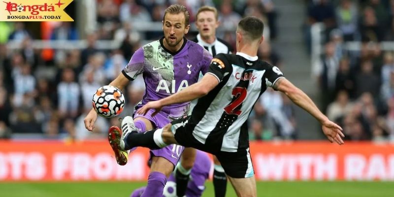 Soi kèo Newcastle vs Tottenham: Điểm qua phong độ