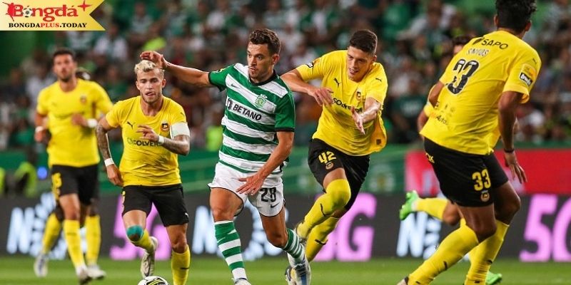 Sporting Lisbon vs Rio Ave: Nhìn lại phong độ 2 CLB ở mùa giải trước