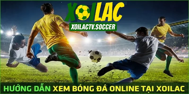 xoilactv.soccer trực tiếp bóng đá